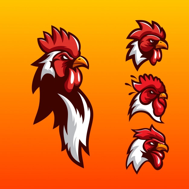 626x626 Rooster Logo Design Vector Premium Download