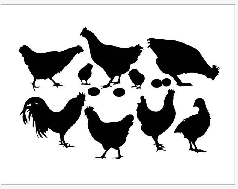 794x632 Chicken Hen Chick Egg Rooster Vector Clipart Pdf Dxf Etsy