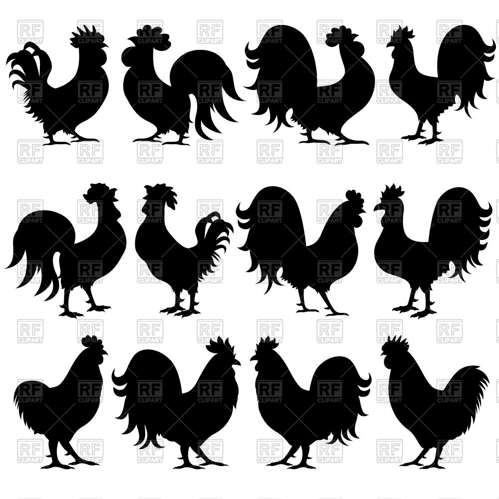 1000x1000 Set Of Silhouette Amusing Rooster Vector Image Of Plants
