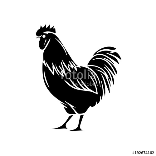 500x500 Silhouette Of A Rooster Vector Illustration Stock Image