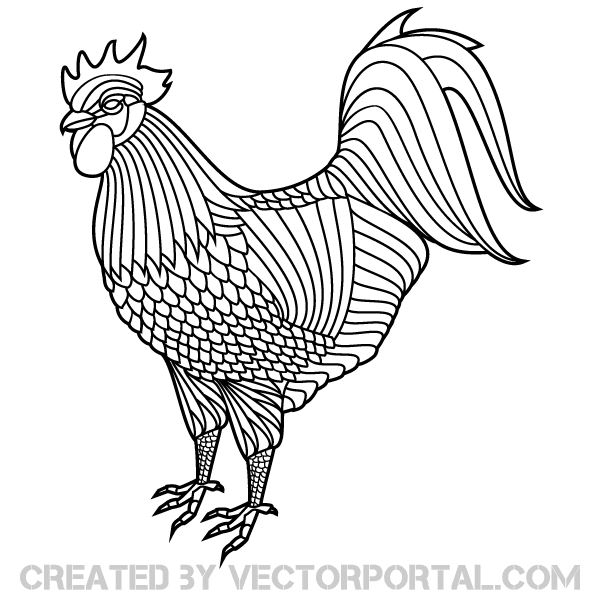 600x600 Free Rooster Vector Clipart Files, Vectors Graphics