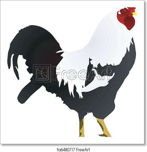 561x581 Free Art Print Of Rooster Vector Image Of A Rooster Freeart
