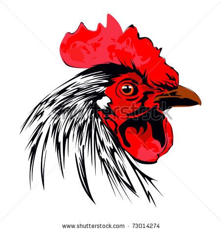450x470 Rooster Vector Stock Photos, Rooster Vector Stock Photography