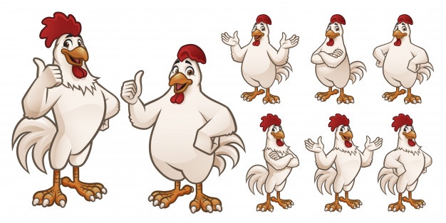 626x314 Rooster Vectors, Photos And Free Download
