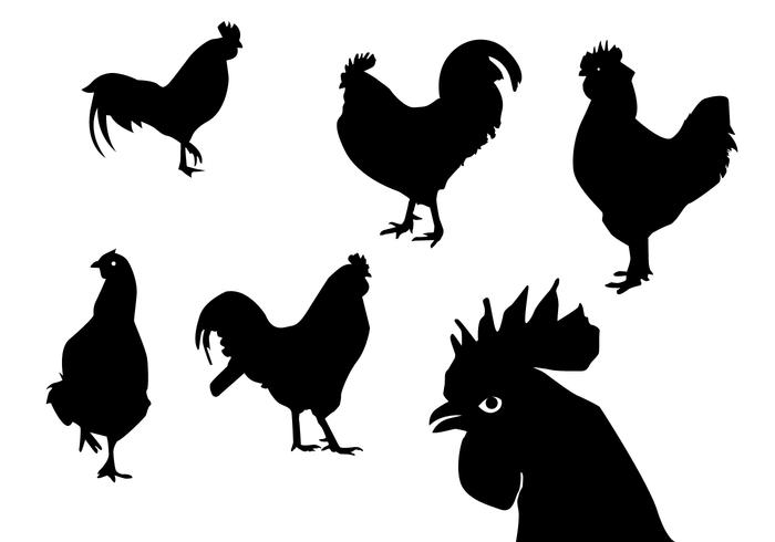 700x490 Rooster Silhouettes Vectors