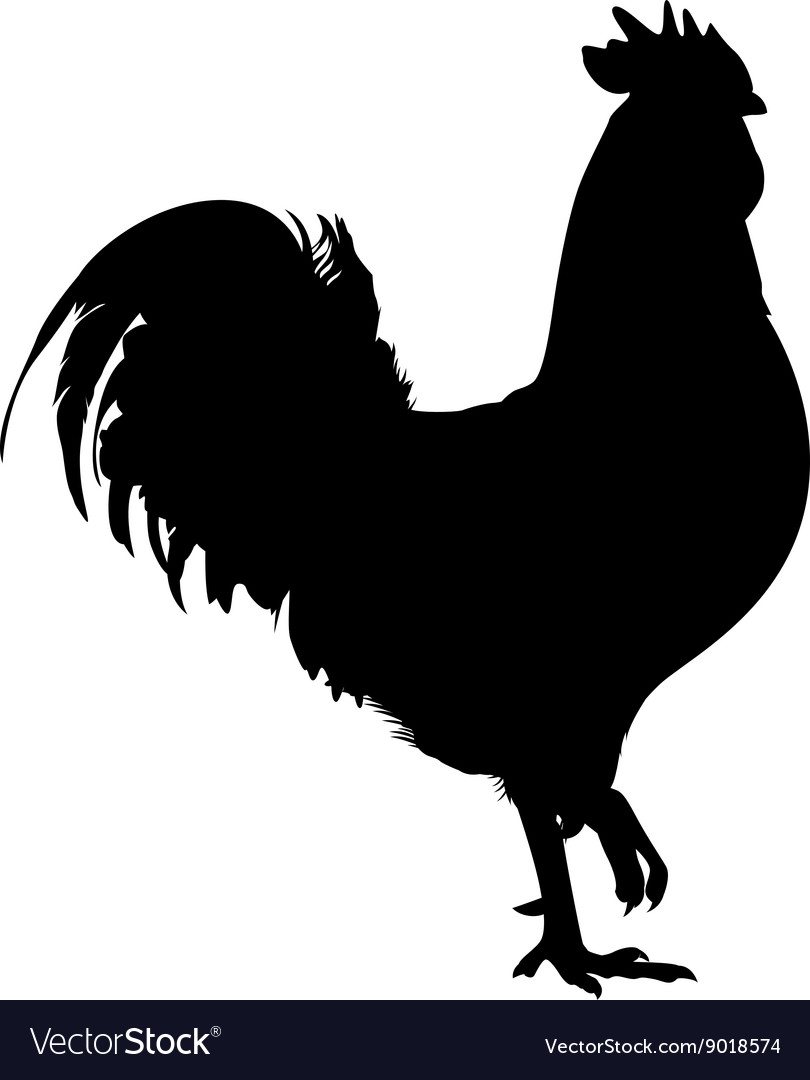 Download Rooster Vector Free at Vectorified.com | Collection of ...
