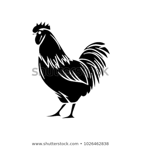 450x470 Huge Collection Of 'rooster Vector Silhouette Free' Download More