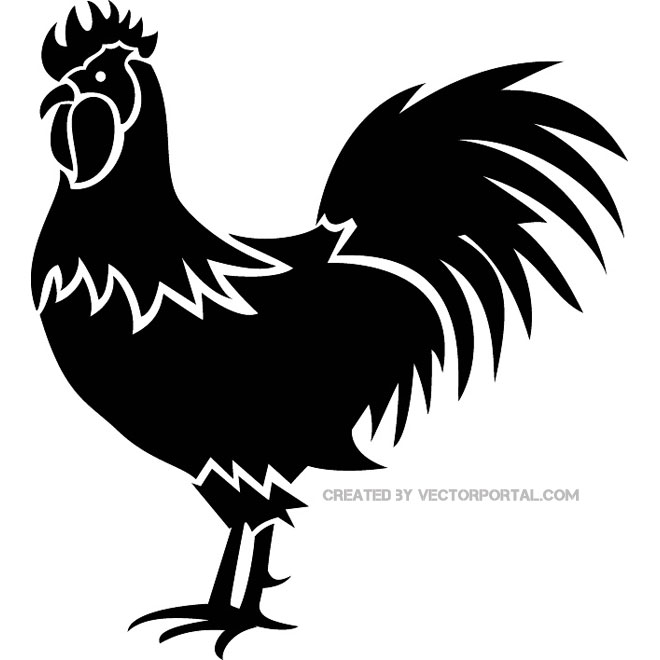 660x660 Rooster Vector Image