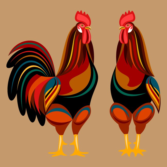 650x650 Rooster Vectors Image