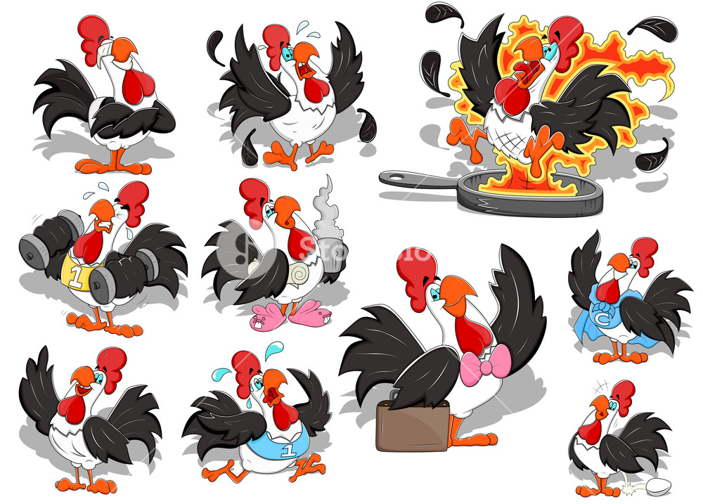 1000x717 Rooster Vectors Royalty Free Stock Image