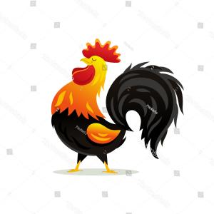 300x300 Royalty Free Stock Photo Vector Drawing Rooster Image Hoodamathrun