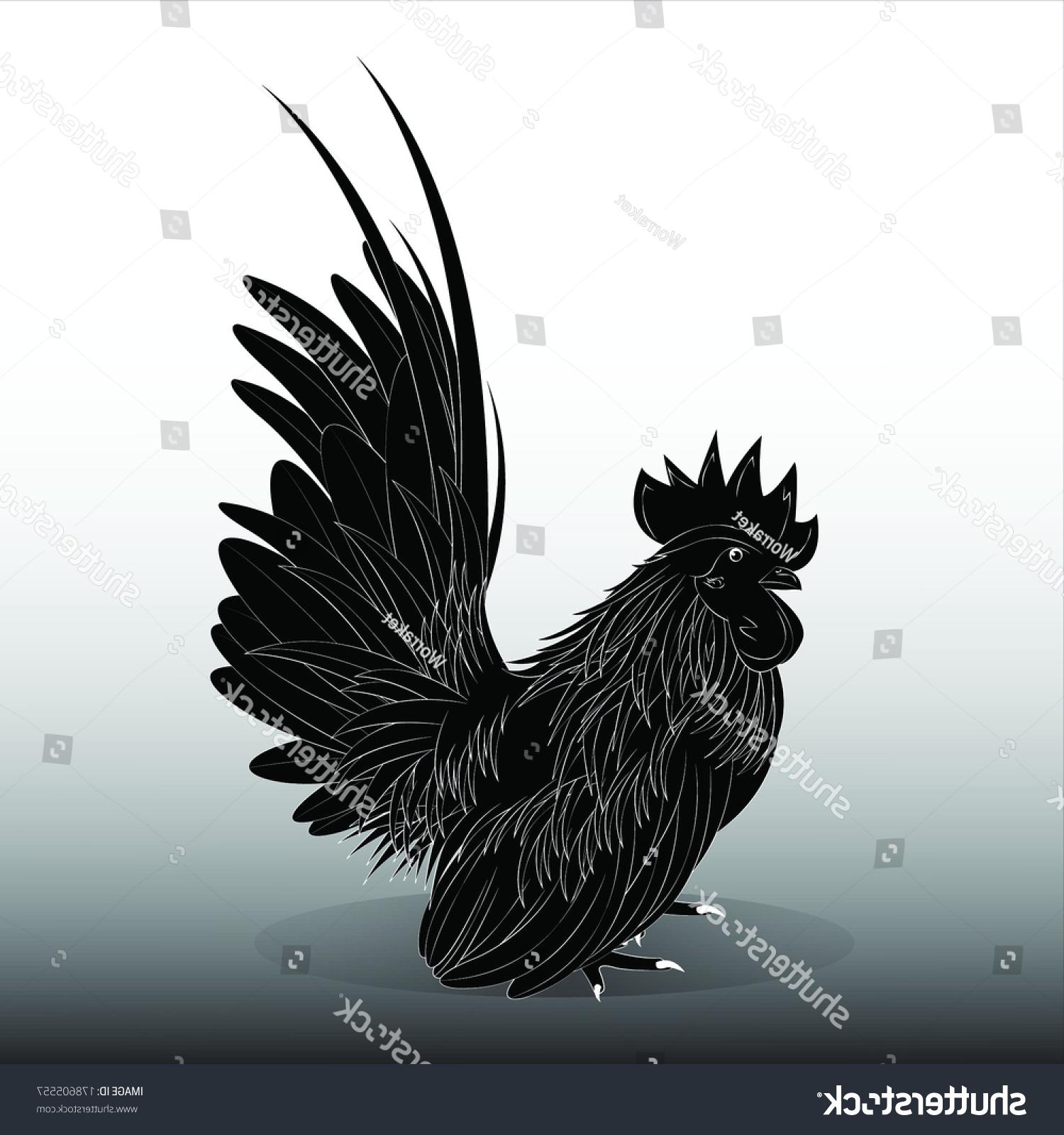 1500x1600 Best Free Black And White Bantam Rooster Vector Drawing Vector