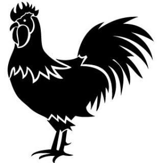 Rooster Vector Images