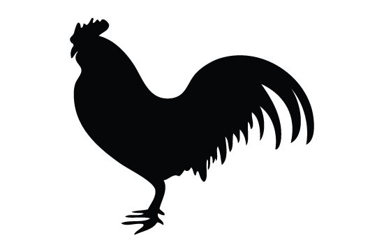 550x354 Free Rooster Silhouette Image Clip Art Cricut Silhouette Clip