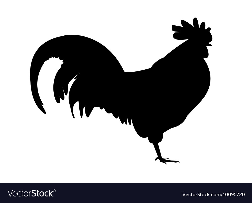 1000x807 Huge Collection Of 'rooster Silhouette Vector' Download More Than