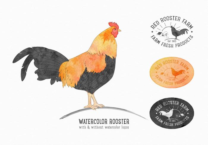 700x490 Rooster Free Vector Art
