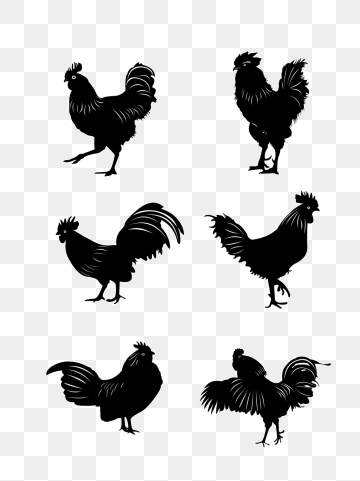 360x481 Rooster Silhouette Png, Vector, And Clipart With Transparent
