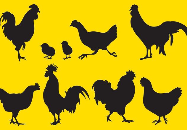 632x442 Rooster Silhouette Vectors Free Vector Download Cannypic