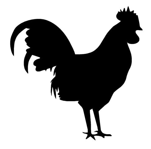 485x480 Silhouette Of A Rooster