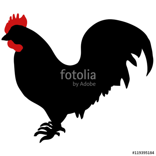 500x500 Silhouette Of A Rooster Vector Chicken Picture Stock Image
