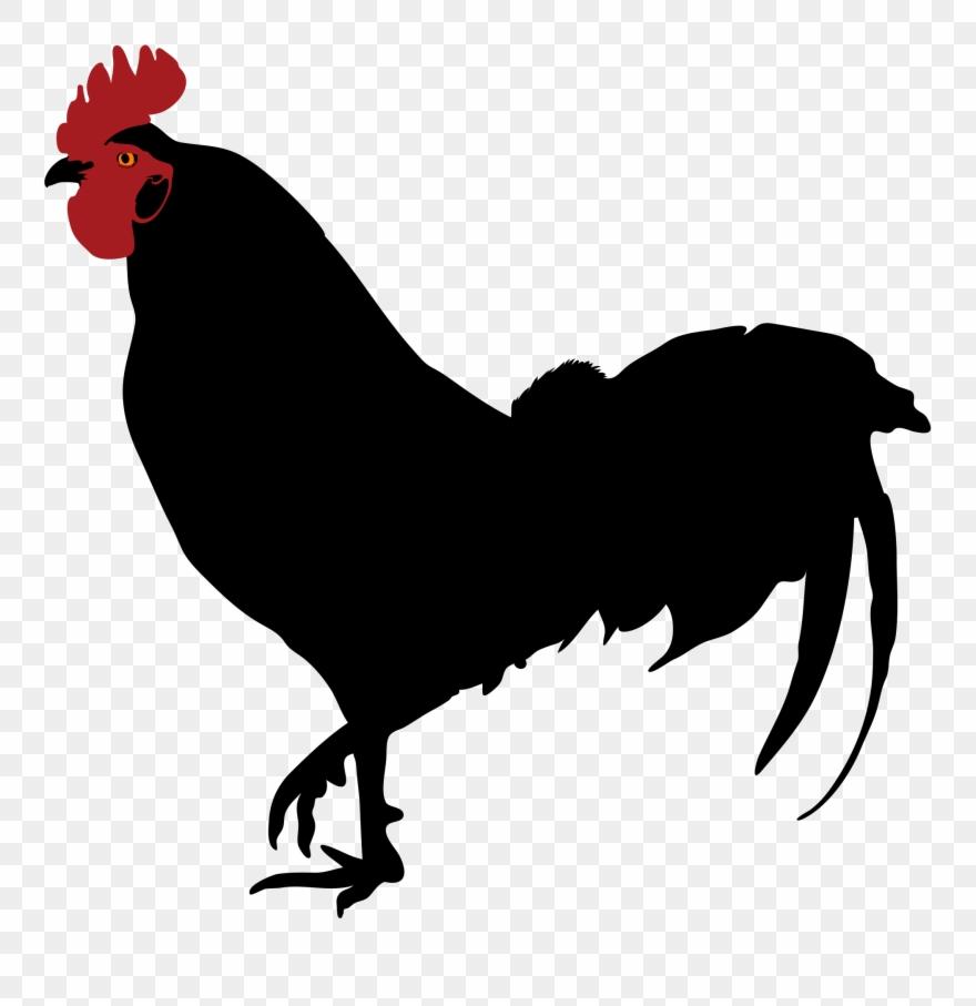 Rooster Vector Silhouette Free at Vectorified.com | Collection of ...