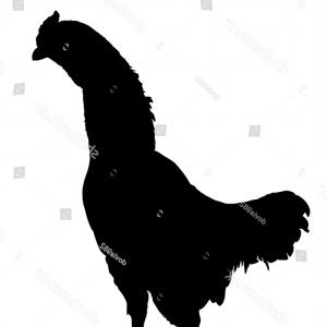 300x300 Top Rooster Silhouette Free Images Catchsplace