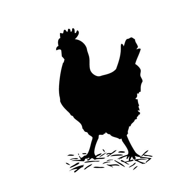 660x660 Chicken Silhouette