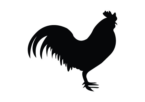 500x350 Chicken Silhouette Vector Free