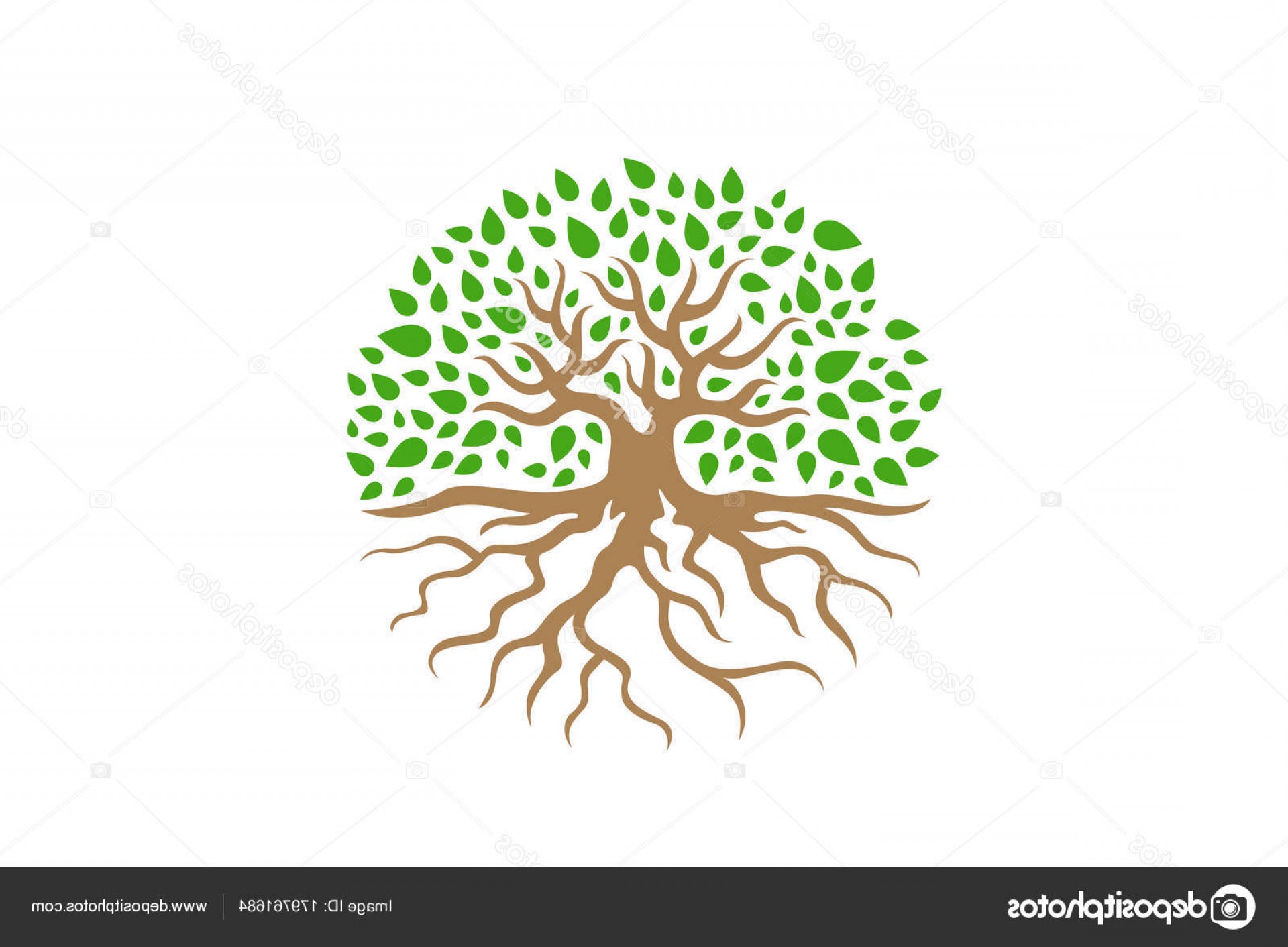 1920x1412 Free Vector Image Of Tree With Roots Soidergi