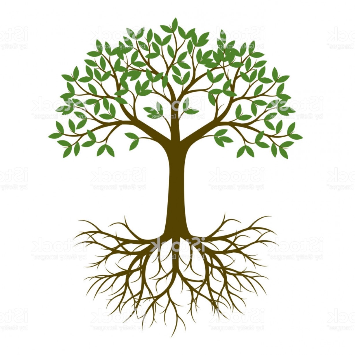 1228x1228 Green Summer Tree With Roots Vector Illustration Plant In Garden