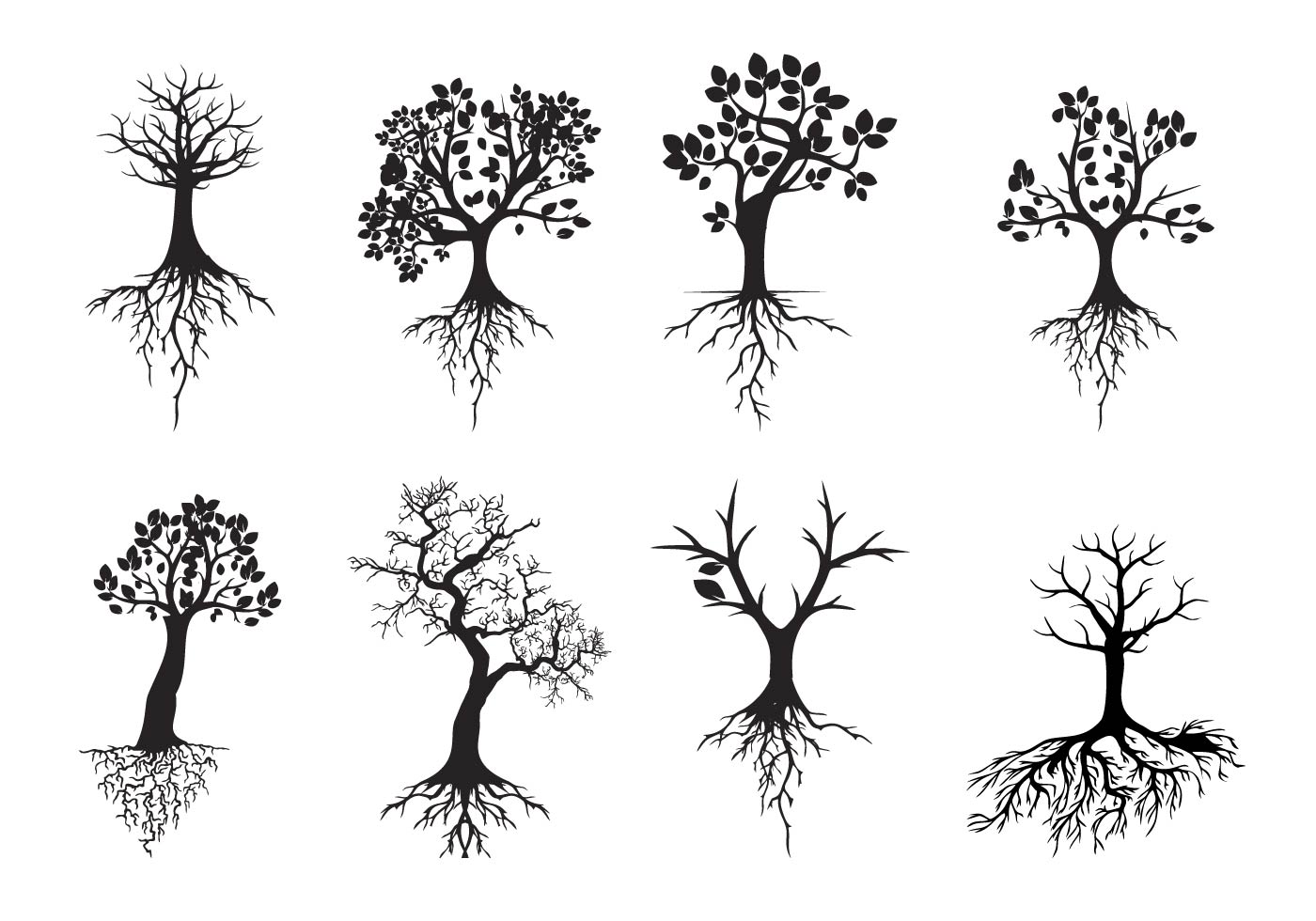 1400x980 Roots Free Vector Art