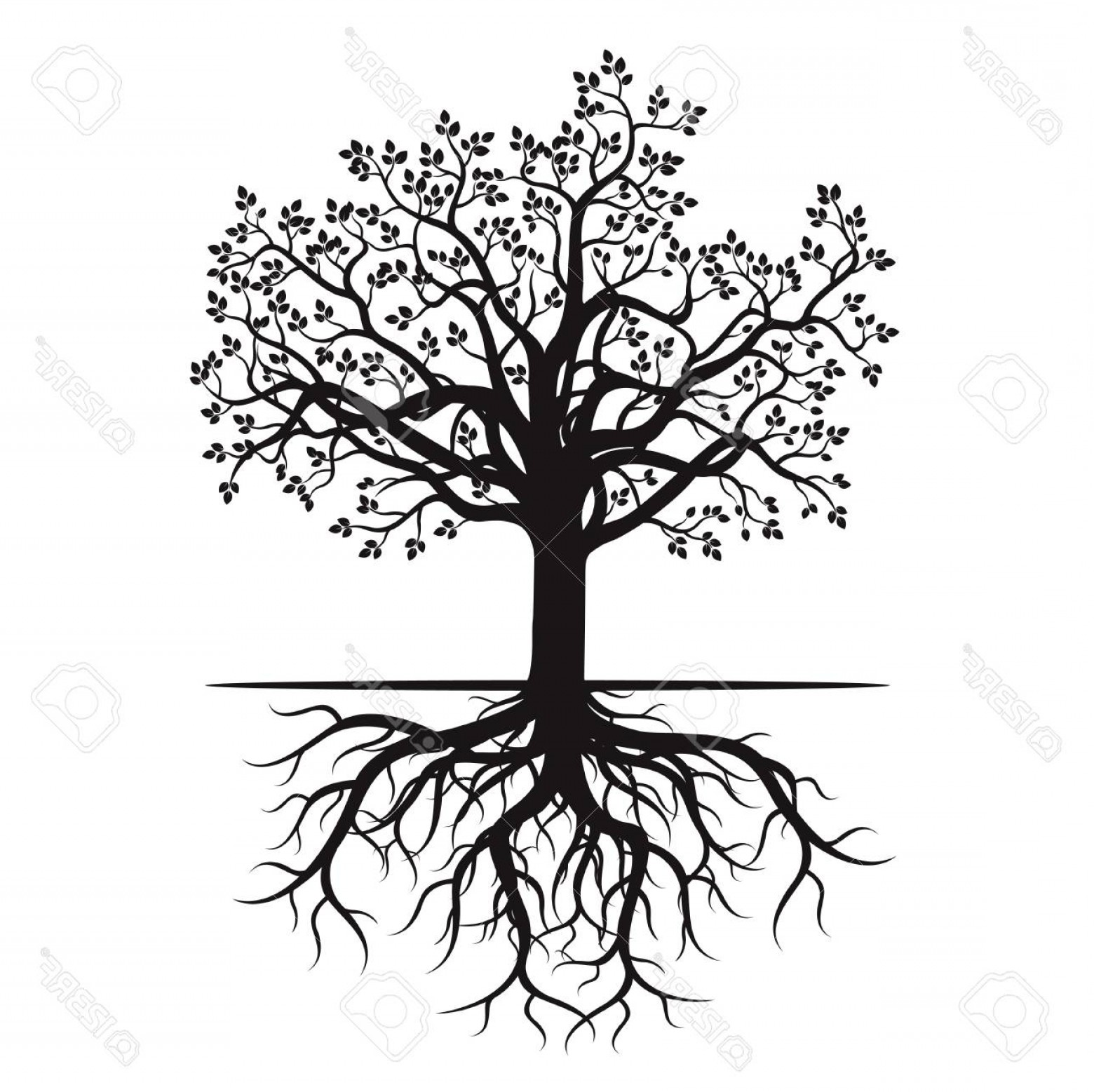 Roots Vector at Vectorified.com | Collection of Roots Vector free for ...