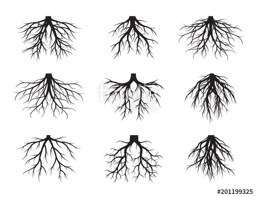 Roots Vector at Vectorified.com | Collection of Roots Vector free for ...