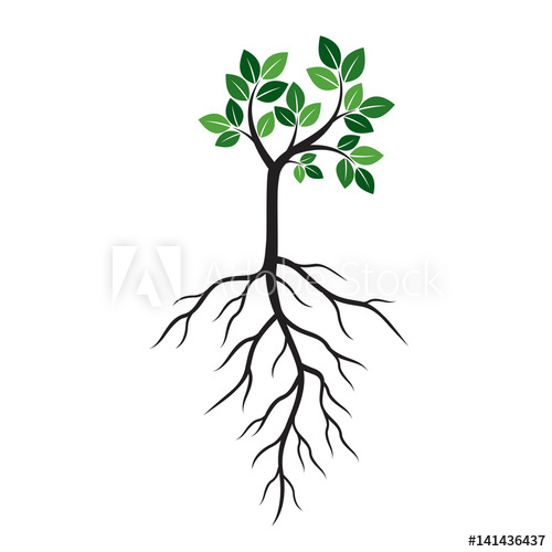 Roots Vector at Vectorified.com | Collection of Roots Vector free for