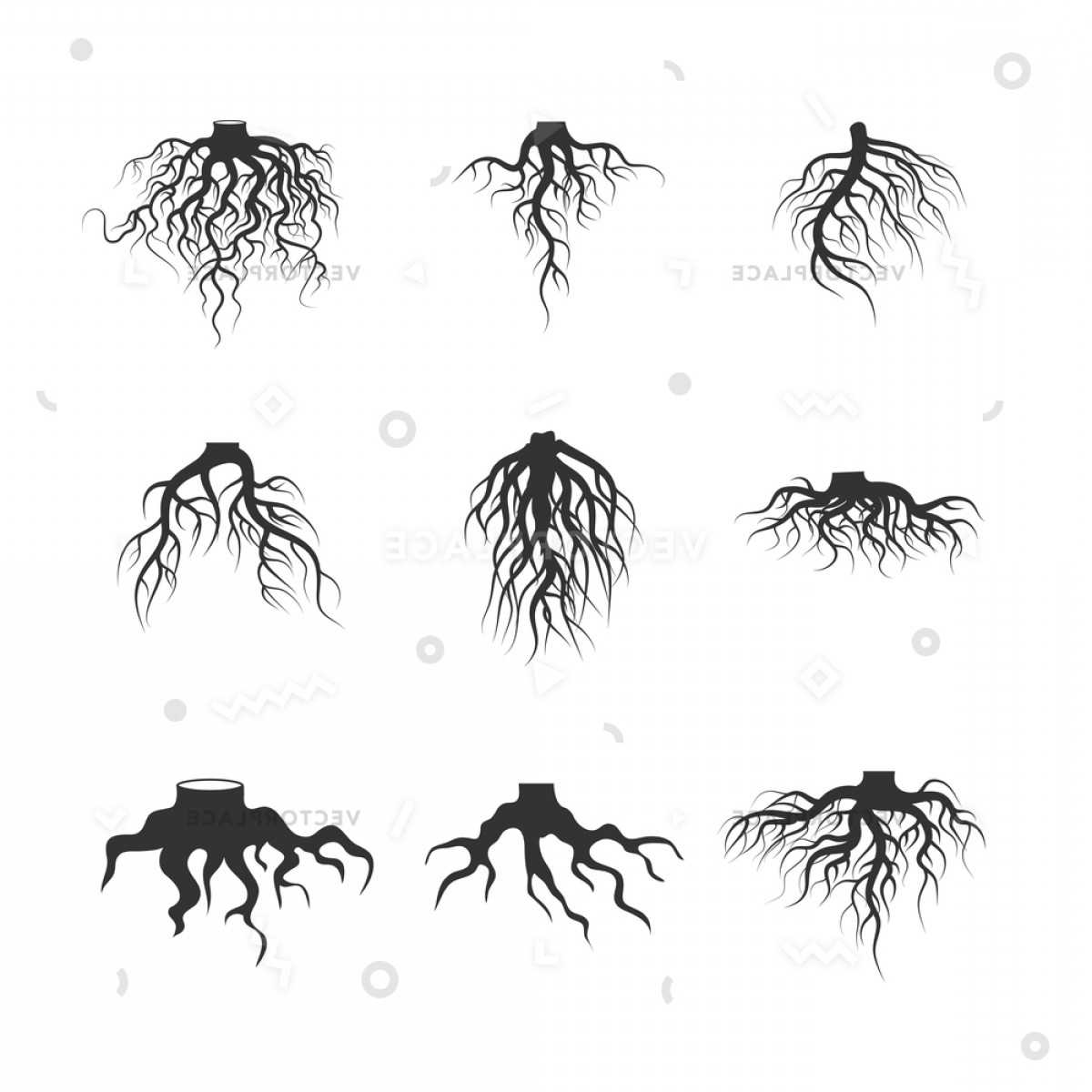1200x1200 Tree Plant Underground Roots Set Root Vector Illustration Soidergi