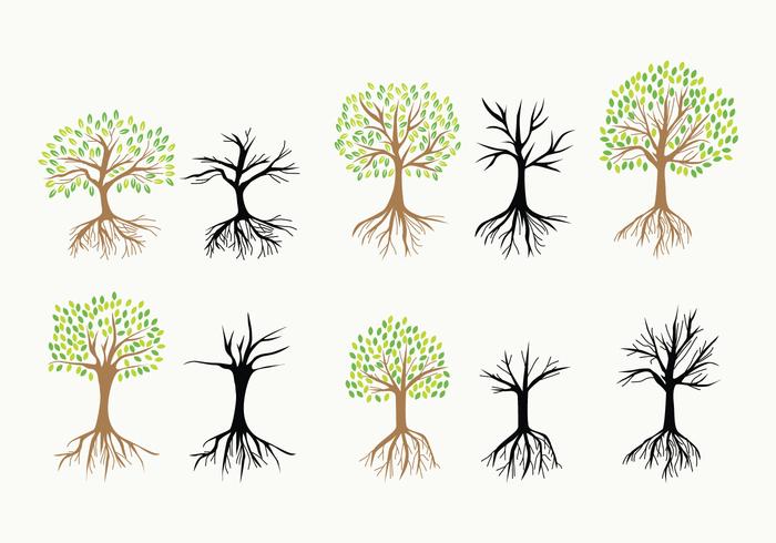 700x490 Tree Roots Free Vector Art