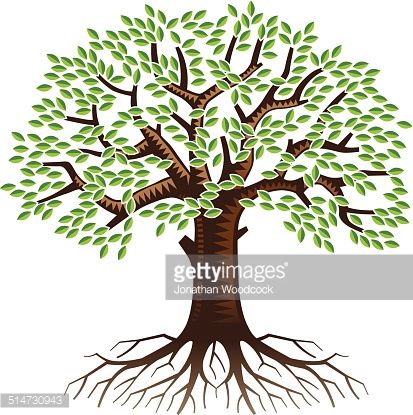 413x415 Big Tree With Roots Vector Art Getty Images Family Tree Tree