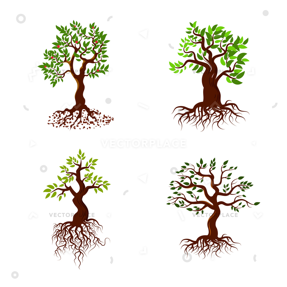 1000x1000 Trees Green Leaves Roots Tree Planting Vector Illustration