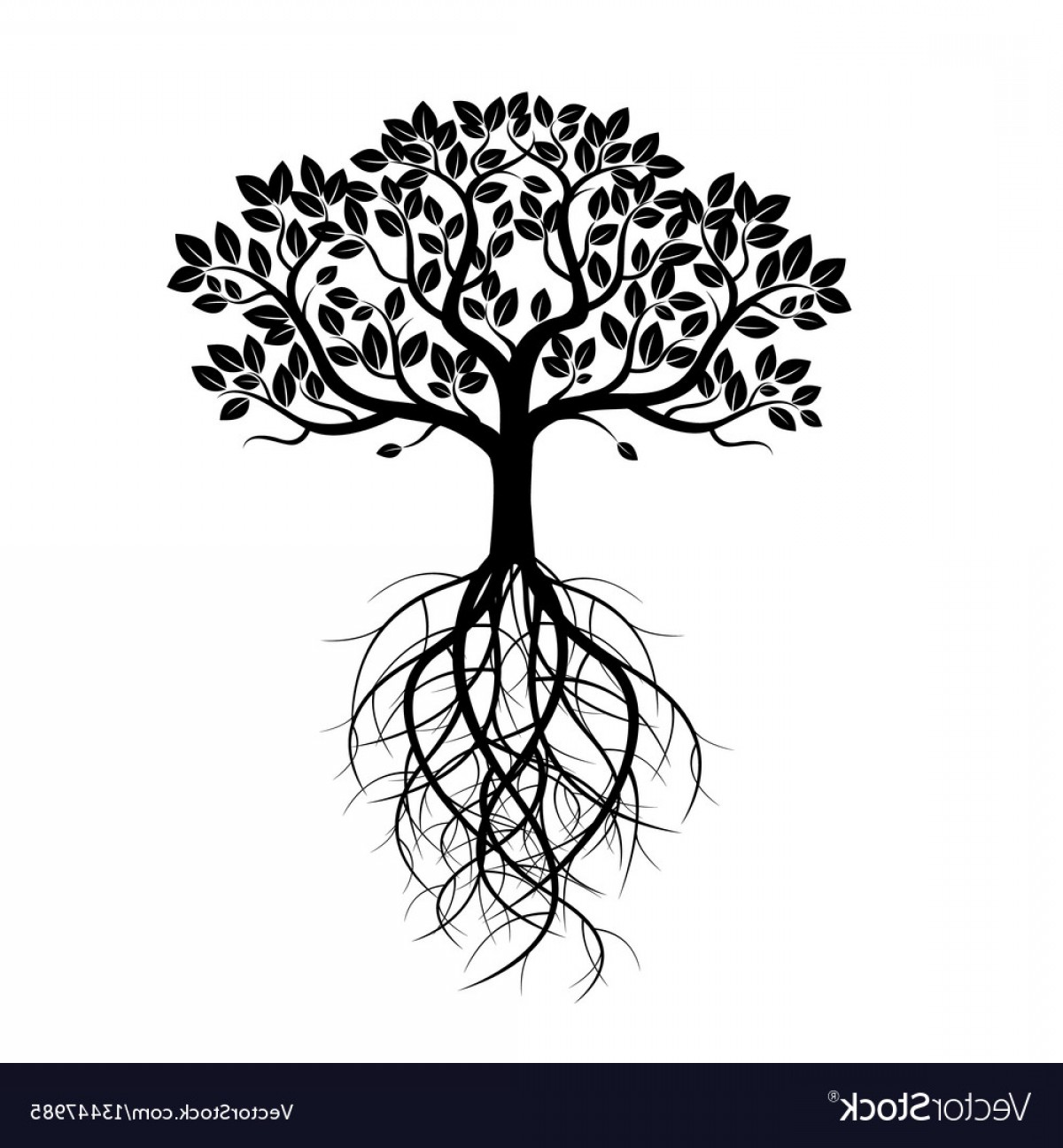 Roots Vector at Vectorified.com | Collection of Roots Vector free for ...