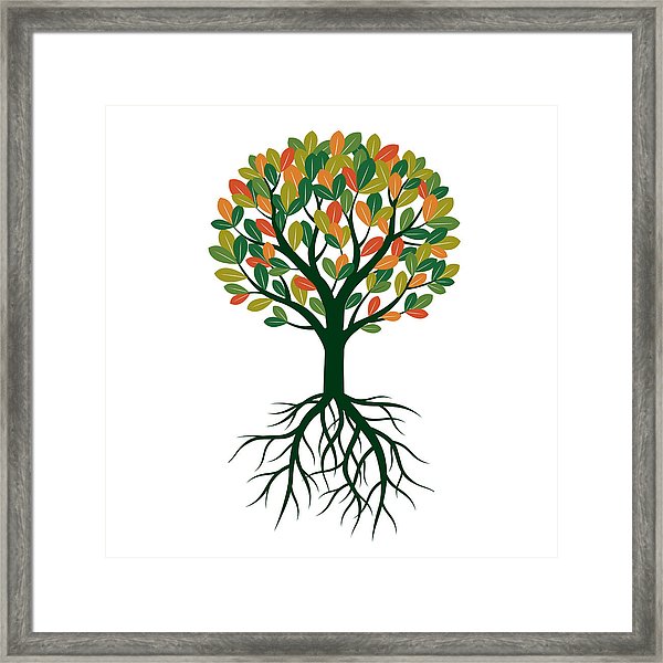 600x600 Color Tree, Leafs And Roots Vector Illustration Framed Print