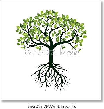 362x382 Color Tree And Roots Vector Illustration, Art Print Barewalls