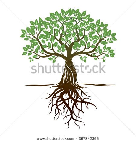 450x470 Color Tree And Roots Vector Illustration Tree Logos Vector