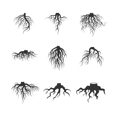 400x400 Page Roots On Curated Vector Illustrations, Stock Royalty Free
