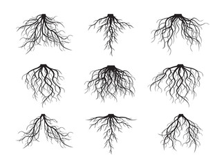 324x240 Plant Root Vector Photos, Royalty Free Images, Graphics, Vectors