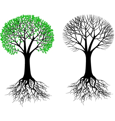 380x400 Vector Tree Roots Underground Images