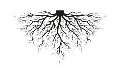 400x240 Root Vector Photos, Royalty Free Images, Graphics, Vectors