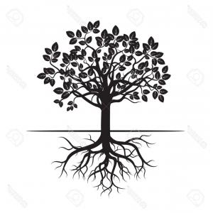 300x300 Royalty Free Stock Image Isolated Tree Roots Image Newwaysys