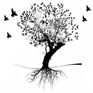 300x300 Stock Illustration Black Tree And Roots Vector Hoodamathrun