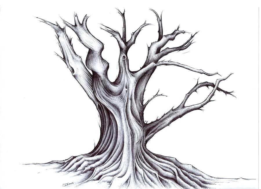 900x653 Tree Roots Drawing Black Tree And Roots Vector Illustration