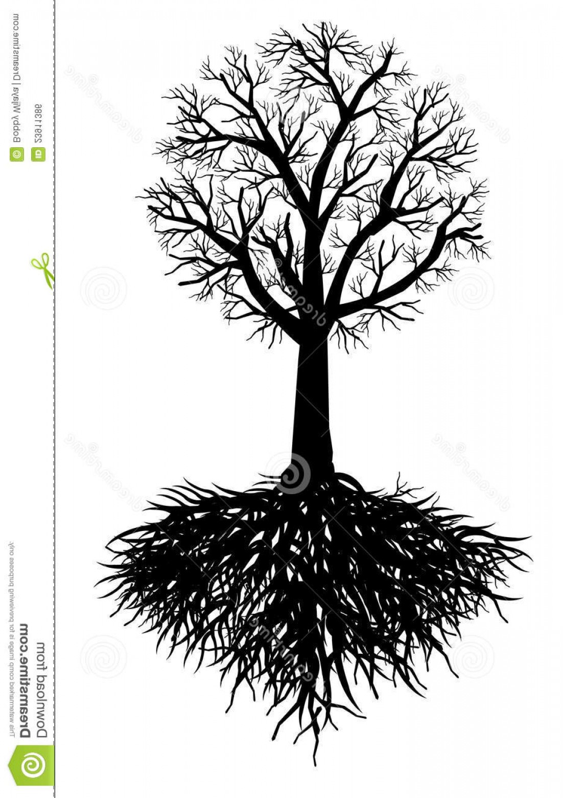 Roots Vector Free at Vectorified.com | Collection of Roots Vector Free ...